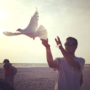 white bird release